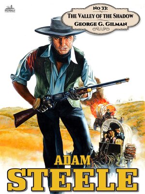 cover image of The Valley of the Shadow
